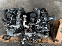 Kliknij aby zobaczyć powiększenie zdjęcia